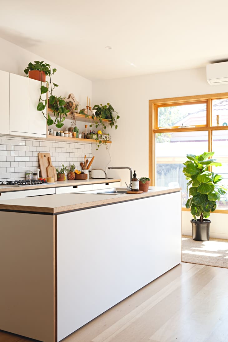 Single Double Sink Bowls Pros Cons The Kitchn